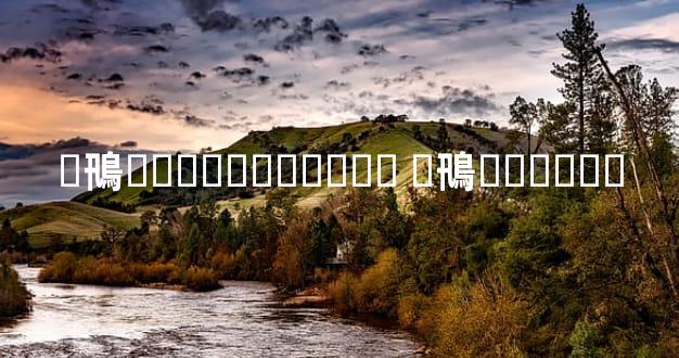 �鳵��Լ����ֶ��� �鳵����ɻ�